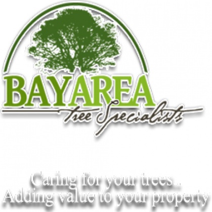 4088369147 Bay Area Tree Specialists